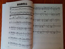 流行鋼琴即興伴奏曲集 曬單實(shí)拍圖