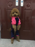 狗狗衣服小狗博美比熊泰迪犬中小型犬四腳衣寵物貓咪秋冬裝情侶服 龍貓衛衣 L 曬單實(shí)拍圖
