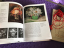 現(xiàn)貨 英文原版 van Gogh 梵高藝術(shù)畫冊 小精裝版 Taschen 塔森 彩內(nèi)頁 744頁 曬單實拍圖