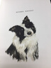 早安，生活2018：內(nèi)有惡犬（三聯(lián)生活書店2018輕手賬） 曬單實拍圖