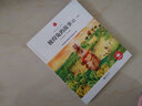 朝華童文館·彼得兔的故事Ⅳ（領(lǐng)誦版） 曬單實(shí)拍圖