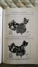 農(nóng)村空心化過程及其資源環(huán)境效應 曬單實拍圖