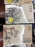 中國好丹青·大師冊頁(yè)精品復制：吳昌碩 曬單實(shí)拍圖