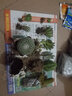 多肉植物24款新品辦公室室內萌植物盆栽組合玉露肉肉植物 月兔耳單株 曬單實(shí)拍圖
