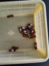 蘇品 塑料 玻璃 樣品管液相管 進樣瓶內(nèi)插管 色譜瓶套管 內(nèi)襯管 玻璃帶支架液相管（100支/包） 曬單實拍圖