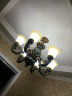 韬齐 欧式吸顶灯客厅现代简约主卧室灯美式阳台灯具 J2014-小号 直径30CM 配单色LED灯泡 实拍图