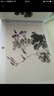 小小畫(huà)家·國(guó)畫(huà)：植物篇 曬單實(shí)拍圖