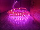 典銳 led燈帶七彩色燈帶5050燈帶超亮3014客廳220V燈帶LED燈帶 紫色 高亮5050 72燈旗艦版 曬單實拍圖