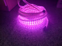 典銳 led燈帶七彩色燈帶5050燈帶超亮3014客廳220V燈帶LED燈帶 紫色 高亮5050 72燈旗艦版 曬單實拍圖