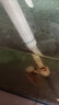 金利佳（Jeneca） 魚(yú)缸換水器電動(dòng)抽水器洗沙器洗砂 自動(dòng)吸便器吸水器水族箱抽便器 B款+電池+過(guò)濾袋*5 曬單實(shí)拍圖