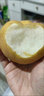 柏饞山東秋月梨新鮮梨子當季水果脆甜山東特產(chǎn)生鮮冰糖梨應季整箱 3斤裝 凈重2.8斤 曬單實拍圖