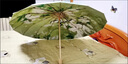 魔小宅中國風(fēng)16骨三折手開彩膠創(chuàng)意時尚防曬遮陽晴雨傘現(xiàn)貨防曬女太陽傘 16骨 綠野鶯歌 彩膠印刷金色骨架 曬單實拍圖