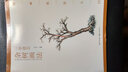 一學(xué)就會(huì) 牡丹畫(huà)法 曬單實(shí)拍圖