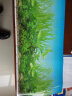 金利佳（Jeneca） 鱼缸专用背景纸水族箱高清背景画龟缸背景图饲养缸贴纸壁纸壁画 30高82长（浏览详情选款式） 实拍图