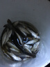 化氏 化氏魚(yú)餌料 紅鯪翹 黑坑野釣垂釣翹嘴魚(yú)釣餌 200g 曬單實(shí)拍圖