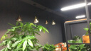 简格 餐厅吊灯北欧创意餐厅灯简约钻石LED饭厅吊灯 单头 咖啡色款 LED白光 实拍图