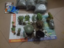 多肉植物24款新品辦公室室內萌植物盆栽組合玉露肉肉植物 月兔耳單株 曬單實(shí)拍圖
