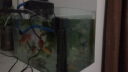 鱼缸过滤器三合一外置水泵冲氧泵增氧泵水族箱内置潜水泵金鱼缸乌龟缸过滤器 12w适合鱼缸长度40-50CM 实拍图