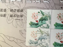 工筆花鳥畫速成·牡丹 曬單實拍圖