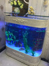 喜灝歐式雙圓形生態(tài)魚(yú)缸玻璃客廳家用中型大型創(chuàng  )意水族箱魚(yú)缸鞋柜定制 長(cháng)1.02米連體款（帶一鍵換水） 曬單實(shí)拍圖