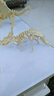 齊峰3d立體拼圖積木玩具擺件恐龍模型木質(zhì)兒童成人拼插動物diy禮物 戟龍 曬單實拍圖