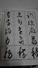 中國書法教程：懷素草書習(xí)字帖 曬單實拍圖