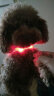 楚克奇（CHUKCHI）宠物狗项圈发光USB充电式LED电子项圈狗狗夜光脖圈中型颈圈防丢器 红色 S码周长约38CM 实拍图