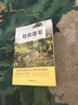 培根隨筆 弗朗西斯·培根 青少年文學(xué)隨筆 世界名著(zhù)讀物 初中生課外閱讀推薦書(shū)籍 曬單實(shí)拍圖