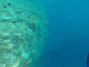 HONGDAK運動(dòng)相機配件用于Gopro10/9/ 8/7/6/5/4防水殼防水罩潛水保護殼浮潛配件 gopro Hero 5 曬單實(shí)拍圖