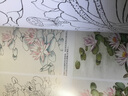 工筆花鳥畫速成·牡丹 曬單實拍圖