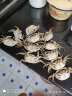 【活蟹】洪掌柜泗洪大闸蟹精美螃蟹礼盒 鲜活螃蟹 母蟹2两 6只 实拍图