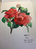 櫻花（SAKURA） 固體水彩顏料 美術(shù)生用泰倫斯水彩畫(huà)顏料套裝 初學(xué)者學(xué)生手繪畫(huà)畫(huà)寫(xiě)生珠光水彩全套 48色精裝 曬單實(shí)拍圖