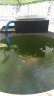 鱼缸过滤器三合一外置水泵冲氧泵增氧泵水族箱内置潜水泵金鱼缸乌龟缸过滤器 12w适合鱼缸长度40-50CM 实拍图