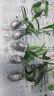 新苗特價(jià)球蘭盆栽球蘭花苗小苗 球形花卉 球蘭花室內爬藤花卉盆栽 5號空中之城 不含盆 曬單實(shí)拍圖