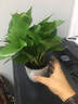 亞眾 封箱器透明膠帶切割器打包機(jī)塑料分割器膠帶機(jī) 金屬 7.2cm 曬單實(shí)拍圖