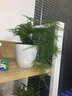 亞眾 封箱器透明膠帶切割器打包機(jī)塑料分割器膠帶機(jī) 金屬 7.2cm 曬單實(shí)拍圖