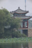 變色龍變色龍650-1300mm超長(zhǎng)焦鏡頭單反相機(jī)超微單遠(yuǎn)攝變焦射月打鳥望遠(yuǎn)鏡動(dòng)物拍攝中秋拍月 佳能口-白色1300D  官方標(biāo)配 曬單實(shí)拍圖