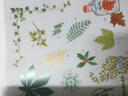 快速完成的可愛(ài)刺繡花樣500例 曬單實(shí)拍圖