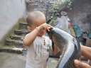 逸釣者獨道競技野釣黑坑魚(yú)線(xiàn)主線(xiàn)日本進(jìn)口魚(yú)線(xiàn)原絲耐磨防卷超強拉力漁線(xiàn)尼龍臺釣線(xiàn)魚(yú)線(xiàn)黑坑競技專(zhuān)攻大物 獨道子系3.0 曬單實(shí)拍圖