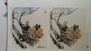 中國畫名家典范課堂：寫意菊 曬單實(shí)拍圖