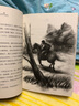 國際安徒生獎大獎書(shū)系快跑男孩+莉莉的超級計劃+藍銹人勞爾+西拉斯和黑馬+馬丁·皮平在蘋(píng)果園（5冊套裝） 曬單實(shí)拍圖