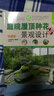 正版包郵 庭院屋頂種花與景觀設(shè)計 綠指環(huán)生活書系 庭院屋頂種花基本知識技巧 屋頂花園景觀設(shè)計搭配布置案例樓頂花 F 曬單實拍圖