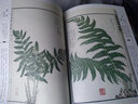 古版畫(huà)叢刊：劍俠傳 曬單實(shí)拍圖