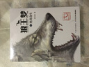 沈石溪畫(huà)本狼王夢(mèng)全套4冊 11-14歲六年級課外書(shū)籍狼王夢(mèng)全集兒童文學(xué)漫畫(huà)版課外閱讀書(shū)籍湖北新華 曬單實(shí)拍圖