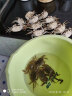 【活蟹】洪掌柜泗洪大闸蟹精美螃蟹礼盒 鲜活螃蟹 母蟹2两 6只 实拍图