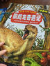 鸚鵡龍奇遇記(漫畫(huà)版)/恐龍王國大探險 曬單實(shí)拍圖