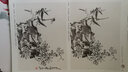 中國畫名家典范課堂：寫意菊 曬單實(shí)拍圖