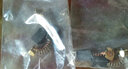 博世BOSCH切割機配件GDM13-34配件電動(dòng)工具原裝 碳刷【GDM13-34】 曬單實(shí)拍圖