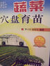 蔬菜穴盤(pán)育苗 曬單實(shí)拍圖