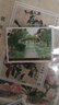 昊藏天下2008年郵票2008-10頤和園郵票收藏Z 曬單實(shí)拍圖